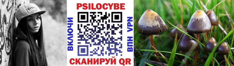 Псилоцибиновые грибы Cubensis  Бобров 